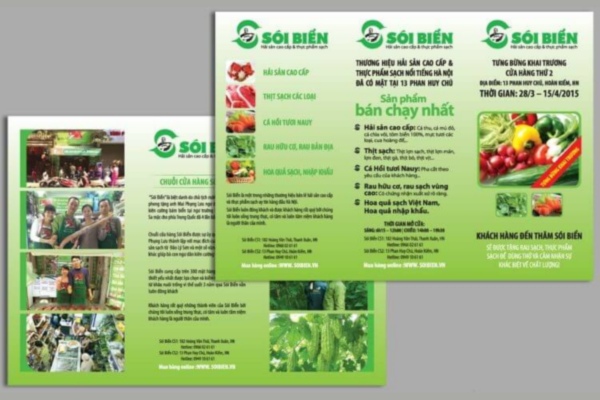 Các mẫu tờ rơi thực phẩm sạch ấn tượng