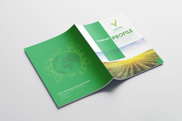 Mẫu catalogue nông sản đẹp, in chất lượng cao tại Hà Nội