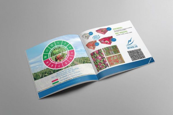 Mẫu catalogue nông sản đẹp, in chất lượng cao tại Hà Nội