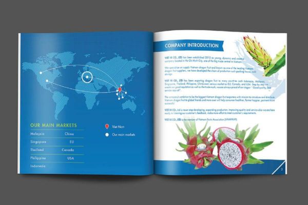 Mẫu catalogue nông sản đẹp, in chất lượng cao tại Hà Nội