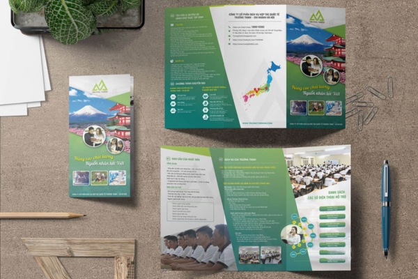 In brochure du học chất lượng, thu hút