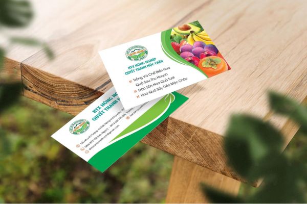 Mẫu card visit trái cây đẹp, thiết kế theo yêu cầu