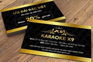 IN Hoa Long nhận thiết kế và in ấn mẫu card visit karaoke cao cấp