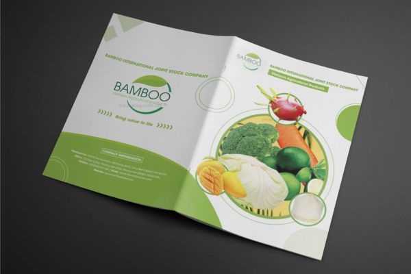 Mẫu catalogue nông sản đẹp, in chất lượng cao tại Hà Nội