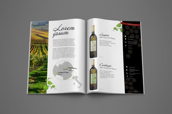 In Hoa Long nhận thiết kế và in ấn mẫu catalogue rượu vang chất lượng