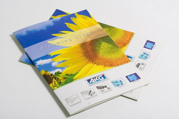 In Hoa Long nhận thiết kế và in ấn mẫu catalogue tranh dán tường giá rẻ