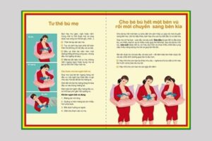 IN Hoa Long nhận thiết kế và in ấn mẫu tờ rơi nuôi con bằng sữa mẹ cao cấp