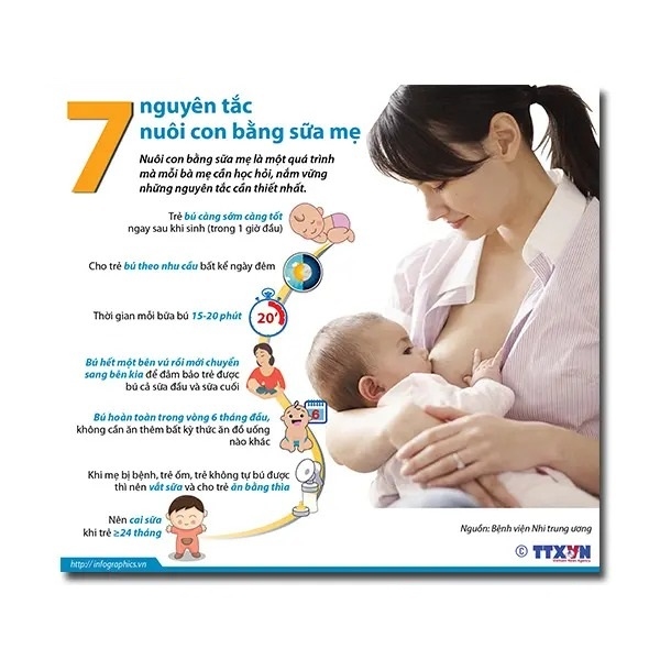 In Hoa Long nhận thiết kế và in ấn mẫu tờ rơi nuôi con bằng sữa mẹ số lượng nhiều