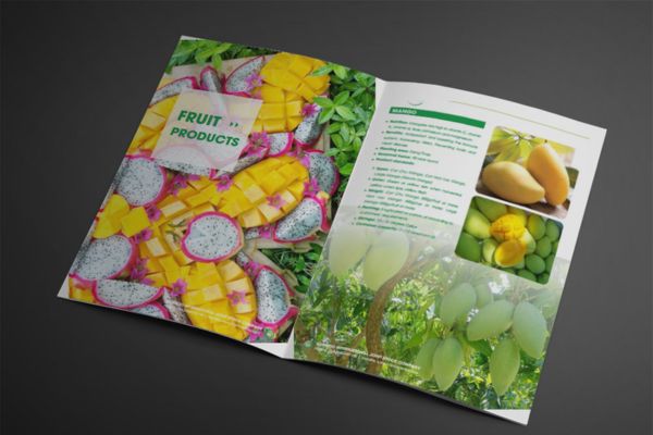 Mẫu catalogue nông sản đẹp, in chất lượng cao tại Hà Nội
