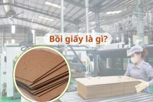 Bồi giấy là gì