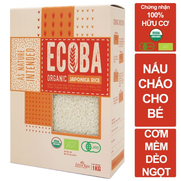 In hộp giấy đựng gạo đẹp, thiết kế theo yêu cầu tại Hà Nội
