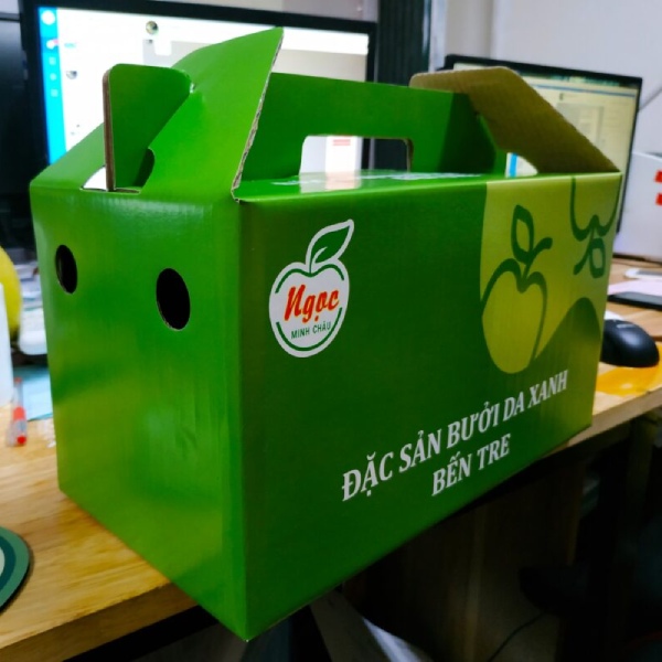In Hoa Long nhận in hộp đựng bưởi chất lượng