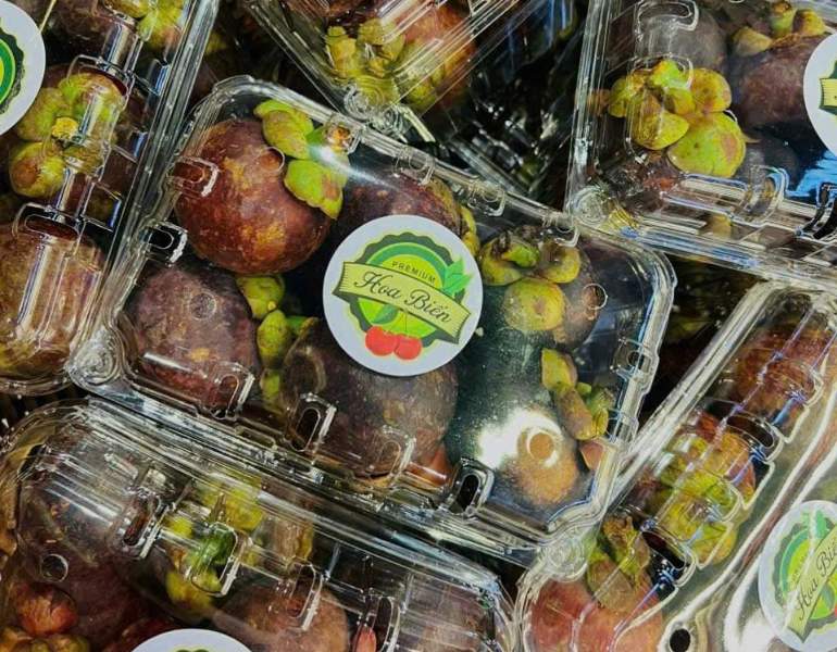 In tem dán măng cụt sắc nét