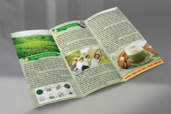 Mẫu tờ rơi bột trà xanh đẹp, thiết kế theo yêu cầu