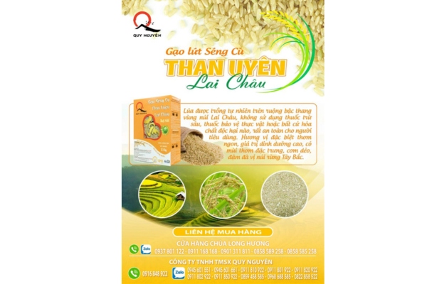 Mẫu tờ rơi bán gạo sử dụng hình ảnh chất lượng cao