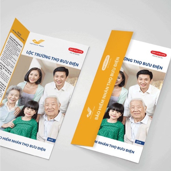 In Hoa Long nhận thiết kế và in ấn mẫu tờ rơi bảo hiểm nhân thọ theo yêu cầu