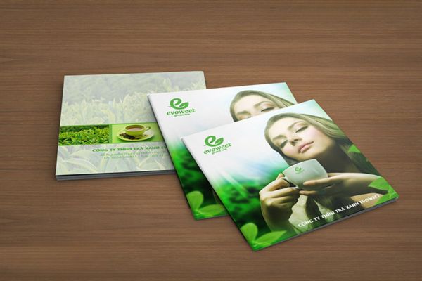 Mẫu tờ rơi bột trà xanh đẹp, thiết kế theo yêu cầu