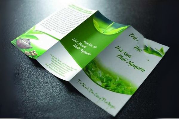 Mẫu tờ rơi bột trà xanh đẹp, thiết kế theo yêu cầu