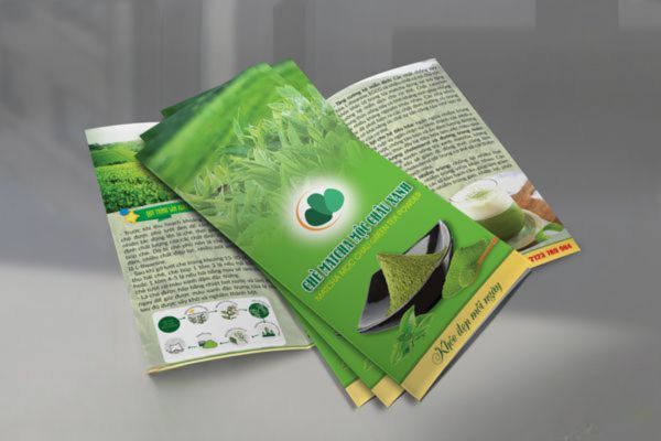 Mẫu tờ rơi bột trà xanh đẹp, thiết kế theo yêu cầu