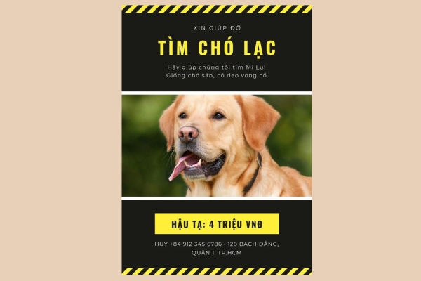 19+ Mẫu tờ rơi tìm chó lạc hiệu quả