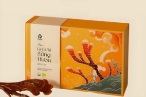 BST Mẫu hộp đựng nấm linh chi đẹp & sang trọng