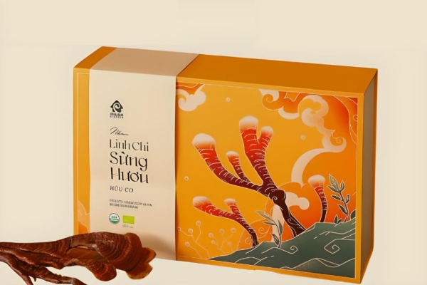 BST Mẫu hộp đựng nấm linh chi đẹp & sang trọng
