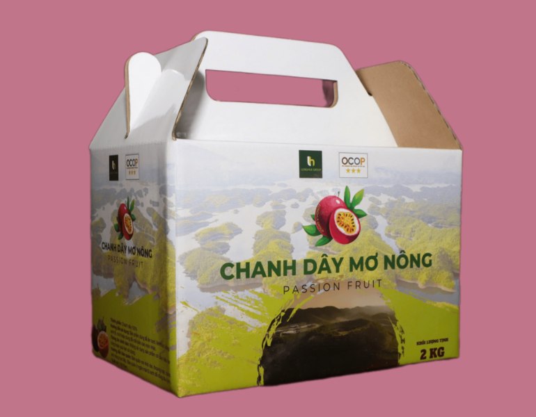 In hộp đựng chanh dây Mơ Nông OCOP