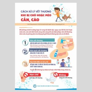In tờ rơi truyền thông giáo dục sức khỏe uy tín & rõ ràng