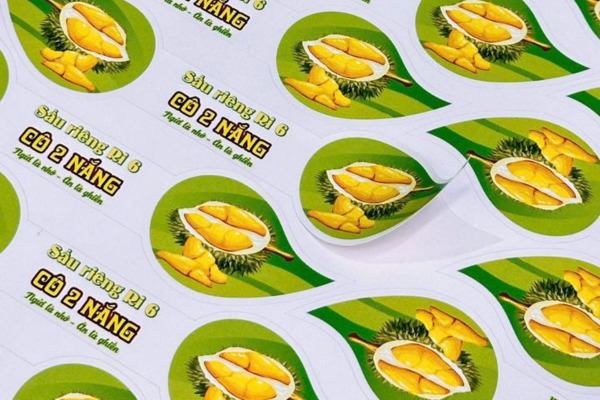 Lợi ích khi thiết kế mẫu tem nhãn sầu riêng đẹp mắt