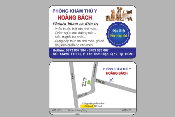 Mẫu card visit thú y đầy đủ thông tin