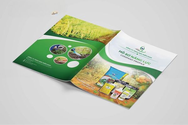 Mẫu catalogue phân bón giá rẻ, chất lượng cao tại Hà Nội