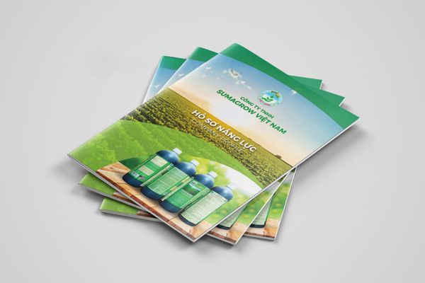 Mẫu catalogue phân bón giá rẻ, chất lượng cao tại Hà Nội
