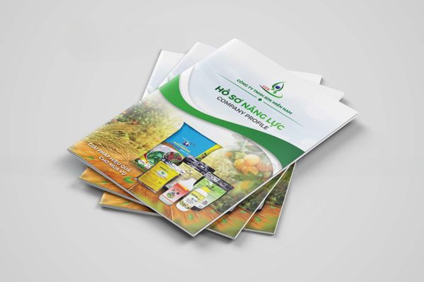 Mẫu catalogue phân bón giá rẻ, chất lượng cao tại Hà Nội