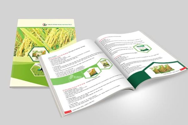 Mẫu catalogue phân bón giá rẻ, chất lượng cao tại Hà Nội