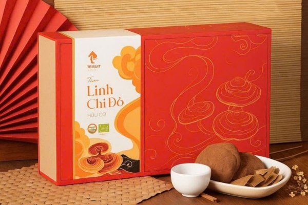 Mẫu hộp đựng nấm linh chi đẹp mắt sáng tạo
