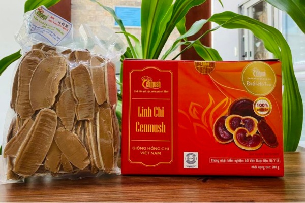 Mẫu hộp đựng nấm linh chi đẹp nâng tầm thương hiệu