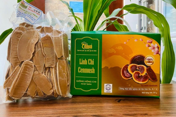 Mẫu hộp đựng nấm linh chi đẹp, in ấn sắc nét