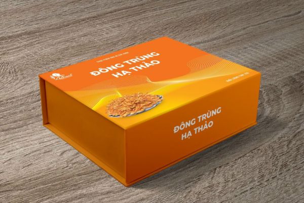 Mẫu hộp đông trùng hạ thảo đẹp, giá rẻ tại Hà Nội