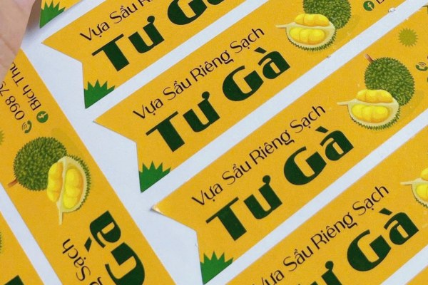 Mẫu tem nhãn sầu riêng đặc sản vùng miền