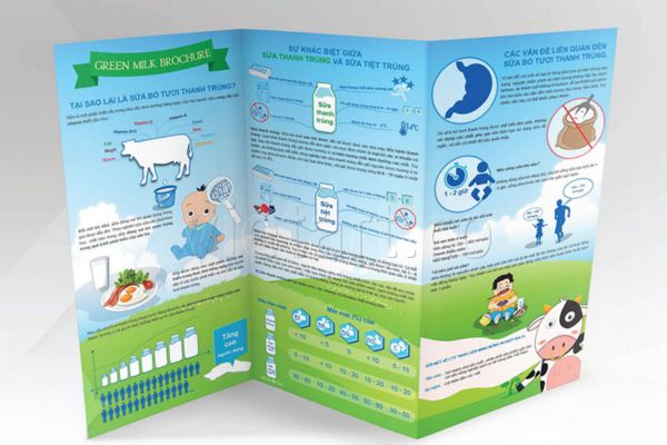 Mẫu tờ rơi sữa giá rẻ, thiết kế chất lượng cao tại Hà Nội