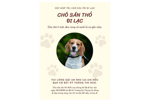 Mẫu tờ rơi tìm chó lạc dễ đọc, đẹp mắt