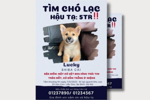 Mẫu tờ rơi tìm chó lạc có tiêu đề cực lớn