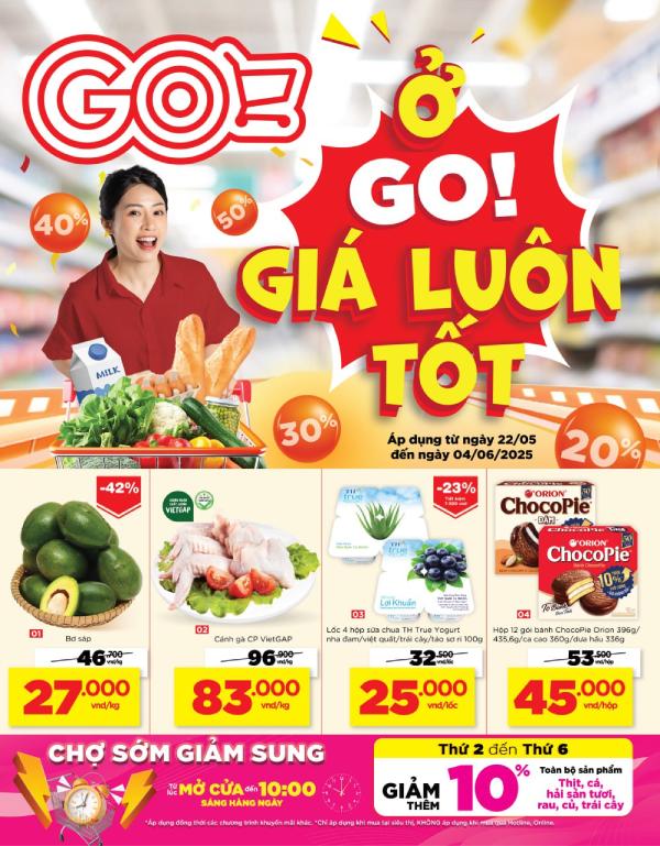 IN Hoa Long nhận thiết kế và in ấn catalogue siêu thị go