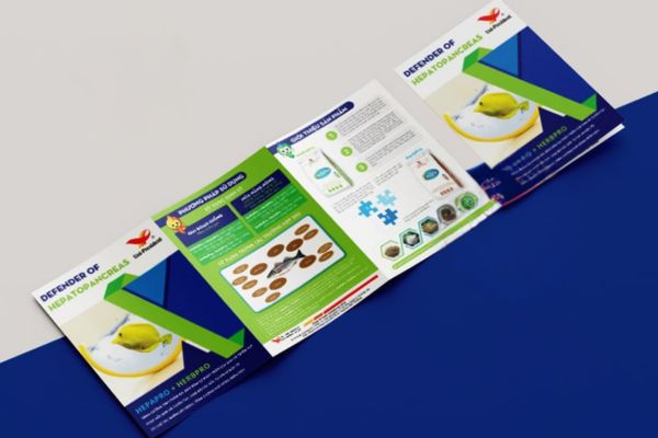 Mẫu brochure thủy hải sản giá rẻ, chất lượng cao