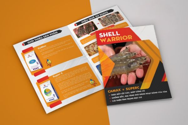 Mẫu brochure thủy hải sản giá rẻ, chất lượng cao