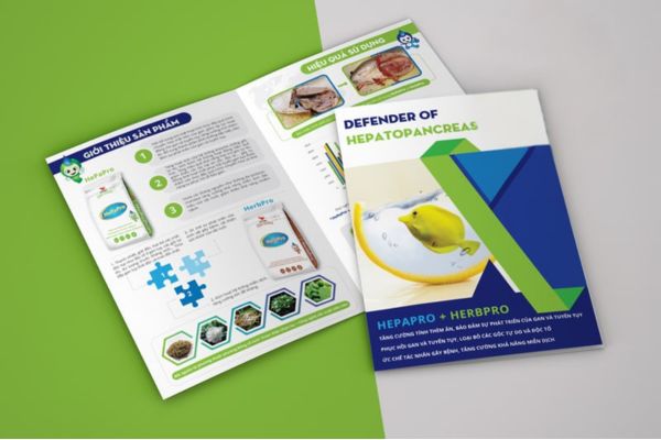 Mẫu brochure thủy hải sản giá rẻ, chất lượng cao