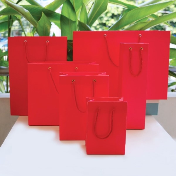 IN Hoa long nhận in túi giấy trơn theo yêu cầu