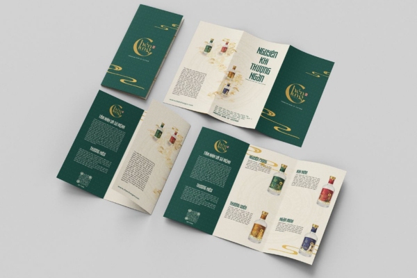 Mẫu brochure gấp 3 đẹp mắt