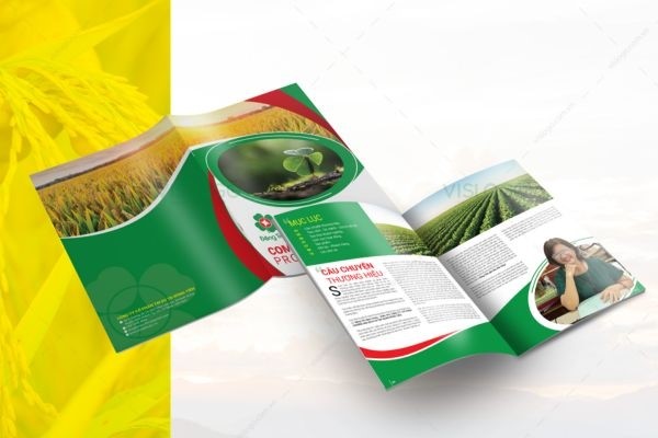 In Hoa Long nhận thiết ké và in ấn mẫu Brochure Phân Bón lấy ngay