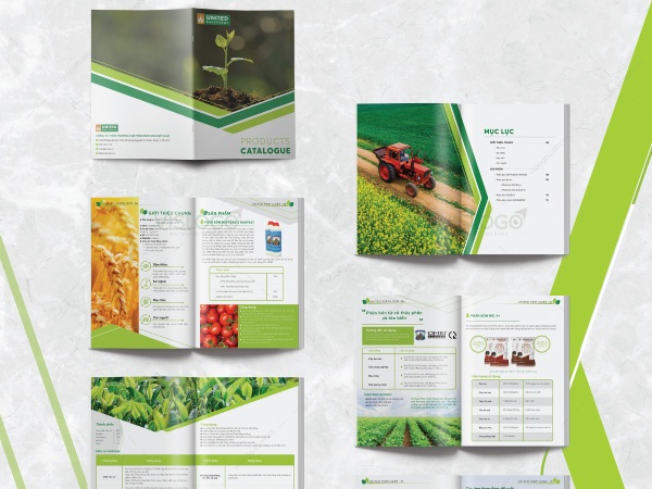In Hoa Long nhận thiết ké và in ấn mẫu Brochure Phân Bón theo yêu cầu